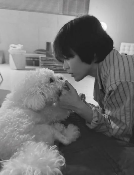 사진=송혜교 SNS