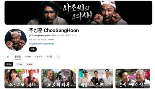 사진=추성훈 유튜브 캡처