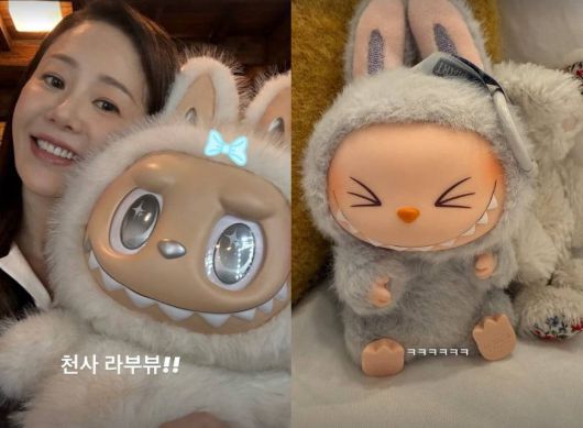 사진=고현정 SNS