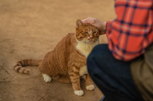 '좀비딸' 스틸. / 사진제공=NEW, 스튜디오N