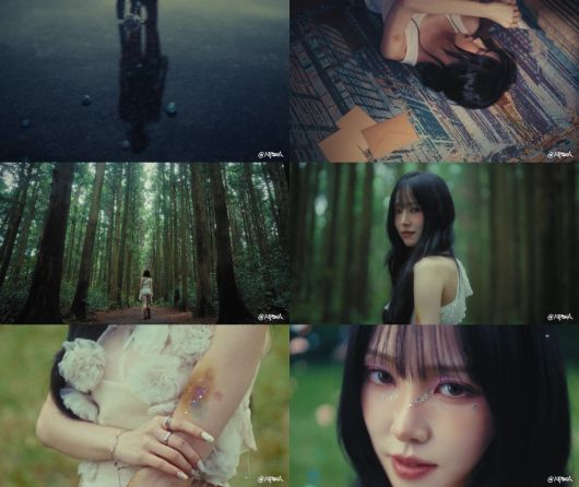 /사진 = 앳에어리어