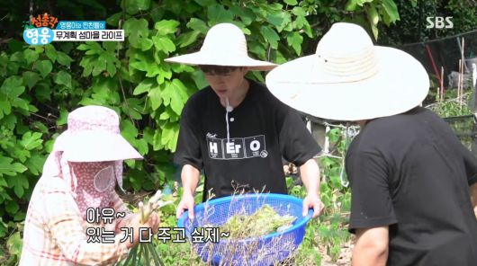 사진=SBS '섬총각 영웅'