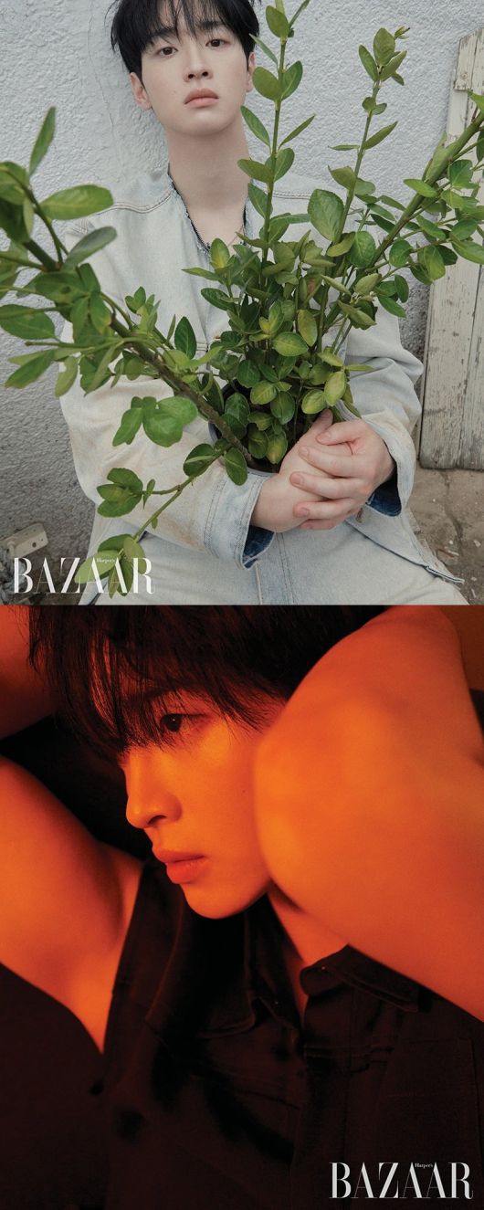 사진=하퍼스 바자