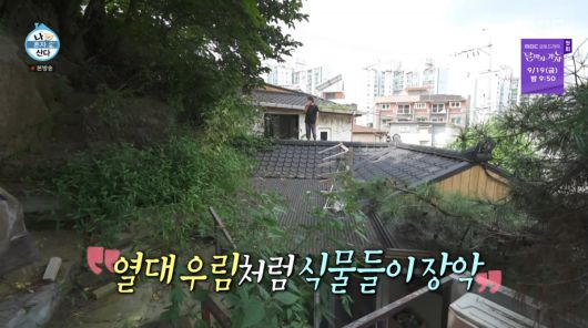 사진=MBC '나 혼자 산다'