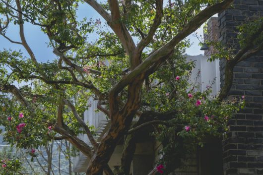 '어쩔수가없다' 스틸. / 사진제공=CJ ENM, 모호필름