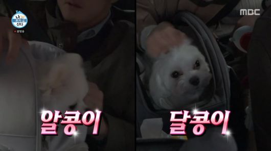 사진=MBC '나 혼자 산다'