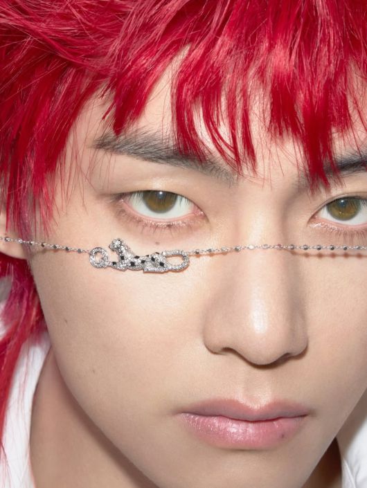 사진 = 뷔 인스타그램