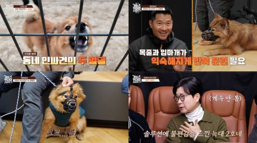 사진제공=채널A