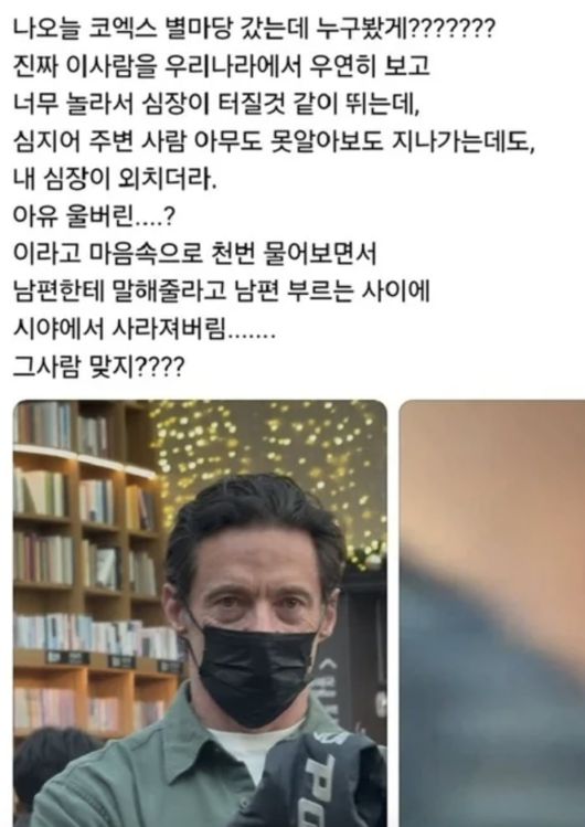 /사진=온라인 플랫폼 X 갈무리
