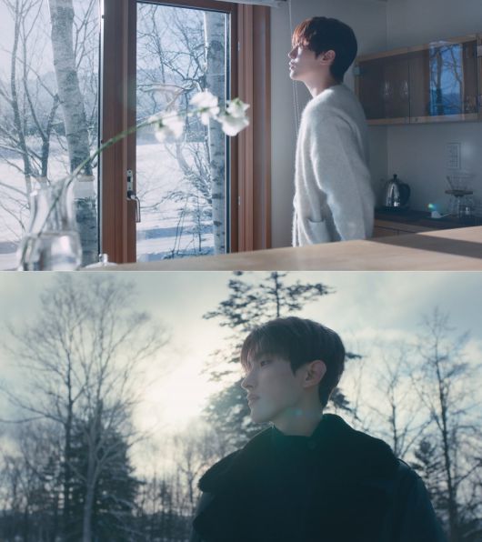 세븐틴 도겸X승관/ 사진 제공=플레디스