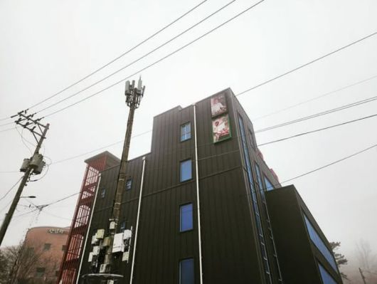 사진=임성근 SNS