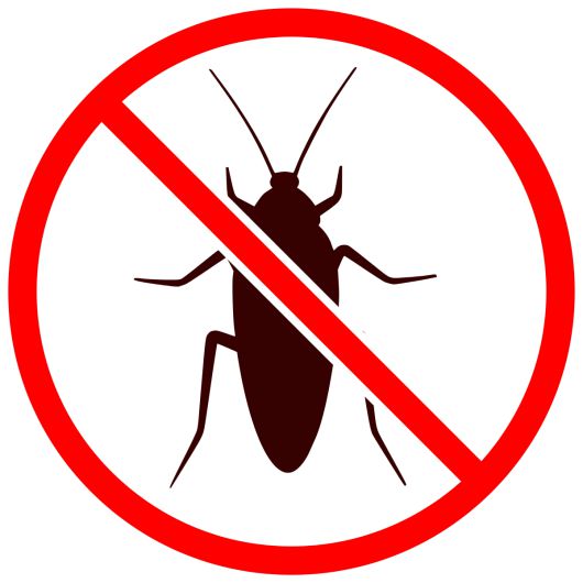 (게티이미지뱅크)