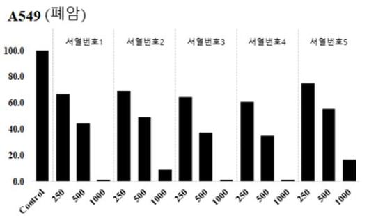 이투데이