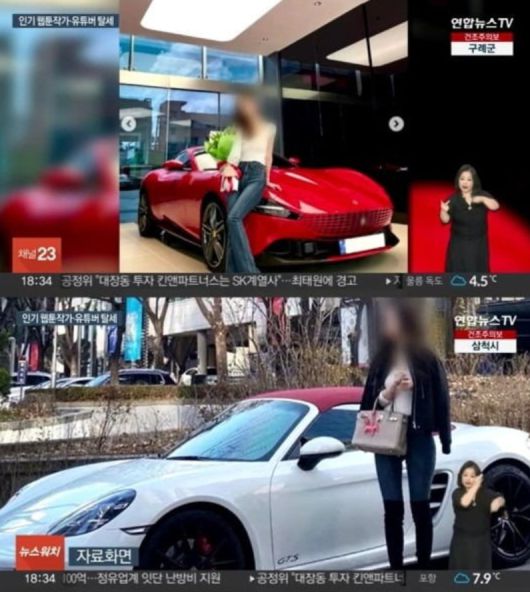 탈세 의혹을 받는 웹툰 작가 A씨.