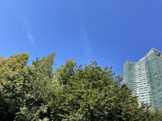 서울숲에서 주상복합아파트 갤러리아포레 건물이 보인다. (장유진 기자 @yxxj)