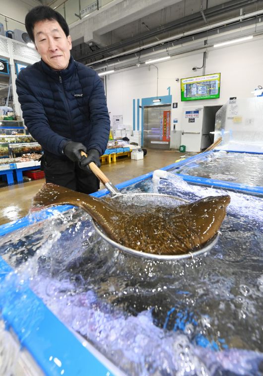 수산동에서 일하는 한 상인이 활어를 물에서 건지고 있다.