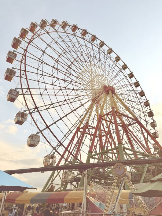 아이폰16프로의 '퓨전카메라'로 촬영한 뒤 사진 스타일로 색감 보정.