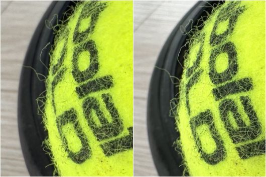 아이폰16프로(왼쪽)와 아이폰14프로로 촬영한 사진. 아이폰16프로로 촬영한 이미지에서 테니스공의 로고와 펠트가 더 선명하다.