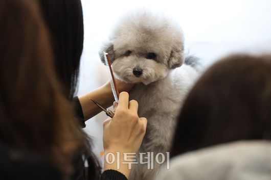 이투데이