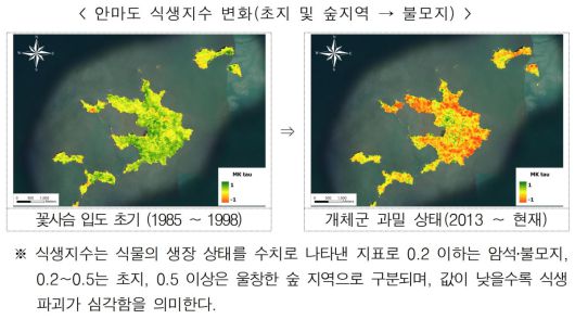 안마도 식생지수 변화.