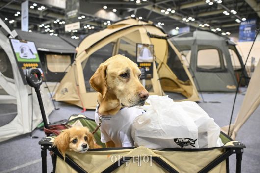 23일 경기 고양시 킨텍스에서 열린 2025 국제아웃도어캠핑&레포츠페스티벌(2025 GOCAF)을 찾은 반려견들이 캠핑용품을 살펴보고 있다. 텐트, 침낭, 랜턴 등 캠핑 장비와 차박, 캠핑카 등 캠핑 관련 품목, 레저스포츠, 낚시 등 레포츠 물품을 한 자리 전시한 GOCAF는 이날부터 25일까지 사흘간 열린다. 조현호 기자 hyunho@