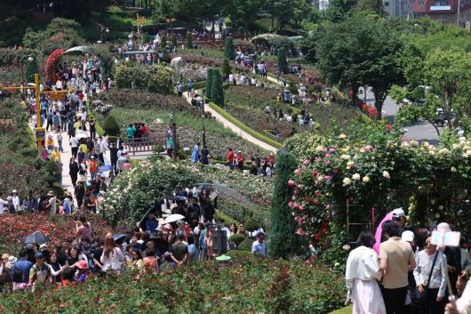 25일 경기 부천시 도당공원에서 열린 ‘부천장미축제’를 찾은 시민들이 형형색색 장미꽃을 감상하며 봄의 정취를 만끽하고 있다. 내달 8일까지 열리는 축제에선 약 20,000㎡ 면적에 151종의 장미를 만날 수 있다. 신태현 기자 holjjak@