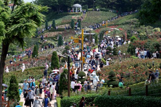 25일 경기 부천시 도당공원에서 열린 ‘부천장미축제’를 찾은 시민들이 형형색색 장미꽃을 감상하며 봄의 정취를 만끽하고 있다. 내달 8일까지 열리는 축제에선 약 20,000㎡ 면적에 151종의 장미를 만날 수 있다. 신태현 기자 holjjak@