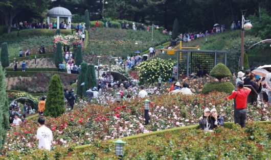 25일 경기 부천시 도당공원에서 열린 ‘부천장미축제’를 찾은 시민들이 형형색색 장미꽃을 감상하며 봄의 정취를 만끽하고 있다. 내달 8일까지 열리는 축제에선 약 20,000㎡ 면적에 151종의 장미를 만날 수 있다. 신태현 기자 holjjak@