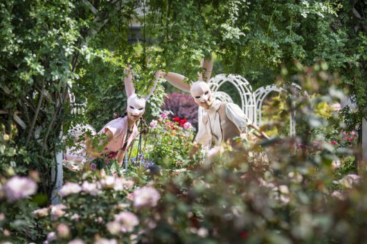 에버랜드 장미축제 현장에 사막여우 탈을 쓴 직원들이 사진을 찍고 있다.