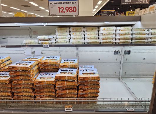 9일 오전 서울 광진구 자양동 이마트 자양점 계란 코너에 30구 기준 가장 저렴한 제품이 품절됐다.