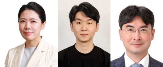 (왼쪽부터)신현영 서울성모병원 가정의학과 교수, 이혁종 서울대학교 의생명과학과 연구원, 박상민 서울대병원 가정의학과 교수