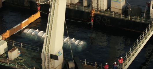 마이크로소프트의 해저 데이터센터 '나틱' 프로젝트 관련 이미지