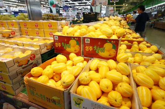 지난달 농산물과 석탄 등 에너지 가격이 하락하면서, 생산자물가가 1년 6개월 만에 가장 큰 폭으로 내렸다. 20일 한국은행에 따르면 5월 생산자물가지수는 2020년을 100으로 봤을 때, 직전 달보다 0.4% 낮은 119.66으로 집계됐다. 4월에 이어 두 달 연속 하락했으며 지난 2023년 11월 이후 가장 큰 내림폭이다. 직전 달과 비교해보면, 참외가 53%, 양파가 42% 가격이 떨어져 농림수산품이 4.4% 낮아졌고, 공산품 가운데서는 석탄·석유제품이 4.2% 하락해 생산자물가를 끌어내렸다. 이날 서울의 한 대형마트에서 시민들이 장을 보고 있다. 신태현 기자 holjjak@