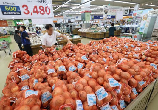 지난달 농산물과 석탄 등 에너지 가격이 하락하면서, 생산자물가가 1년 6개월 만에 가장 큰 폭으로 내렸다. 20일 한국은행에 따르면 5월 생산자물가지수는 2020년을 100으로 봤을 때, 직전 달보다 0.4% 낮은 119.66으로 집계됐다. 4월에 이어 두 달 연속 하락했으며 지난 2023년 11월 이후 가장 큰 내림폭이다. 직전 달과 비교해보면, 참외가 53%, 양파가 42% 가격이 떨어져 농림수산품이 4.4% 낮아졌고, 공산품 가운데서는 석탄·석유제품이 4.2% 하락해 생산자물가를 끌어내렸다. 이날 서울의 한 대형마트에서 시민들이 장을 보고 있다. 신태현 기자 holjjak@