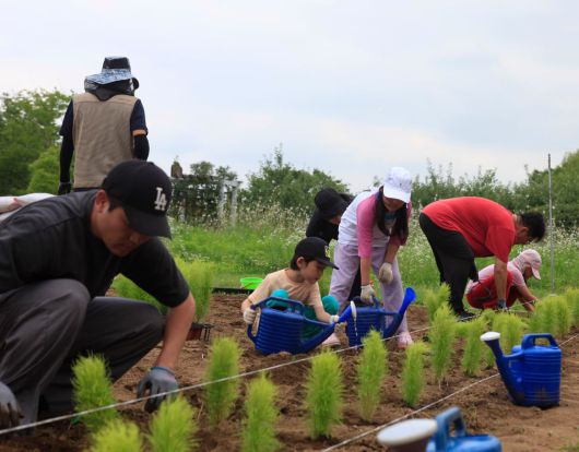 서부공원여가센터-노을공원시민모임 협력 프로그램 활동 사진.