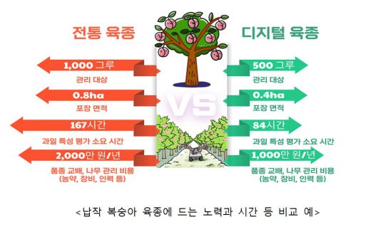 전통 육종과 디지털 육종 비교