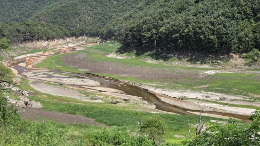 12일 강원 강릉시 주 상수원인 오봉저수지 저수율이 역대 최저치인 25.4%까지 낮아진 가운데 저수지 중·상류 지역에 잡초가 무성하다. 환경부는 이날 오전 강릉시 가뭄단계를 '경계'로 격상하고 대응에 나섰다. (연합뉴스)