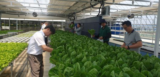 한국농업기술진흥원에서 스마트팜 기업 재직자들이 교육을 받고 있다.