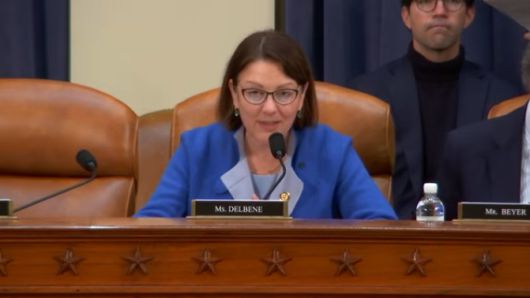▲야당인 민주당 수전 델베네 하원의원이 13일(현지시간) 한국과의 무역 합의를 언급하면서 "이미 한국 규제 당국이 약속을 위반하고 있다고 들었다"고 지적했다. (출처 美연방하원 유튜브 캡처)