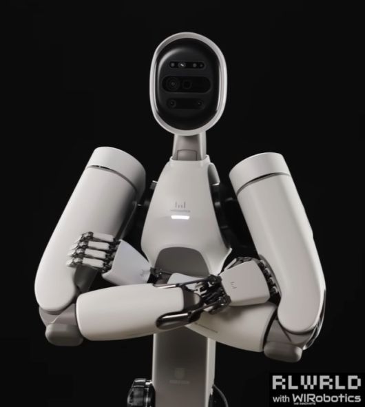 리얼월드 휴머노이드 로봇.
