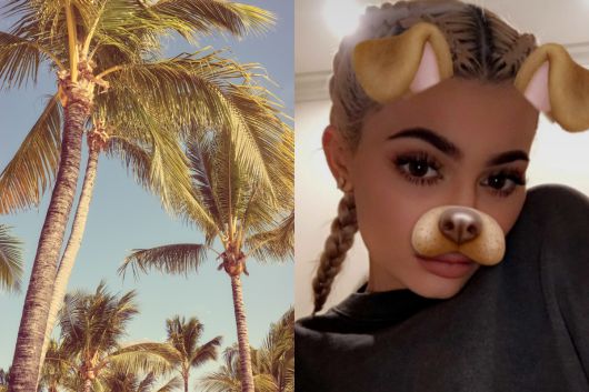 (출처=게티이미지뱅크, 카일리 제너 인스타그램)