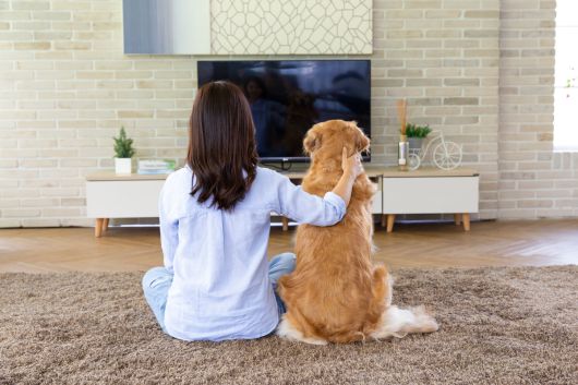 여성의 뒷모습과 반려견이 보인다.