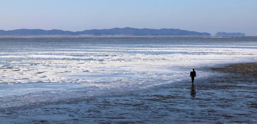 절기상 대한(大寒)이자 서울 아침 최저기온이 영하 13도를 기록하는 등 전국에 한파특보가 내려진 20일 인천 강화군 동막해변이 얼어붙어 있다. 신태현 기자 holjjak@