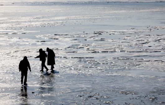 절기상 대한(大寒)이자 서울 아침 최저기온이 영하 13도를 기록하는 등 전국에 한파특보가 내려진 20일 인천 강화군 동막해변이 얼어붙어 있다. 신태현 기자 holjjak@