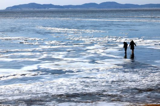 절기상 대한(大寒)이자 서울 아침 최저기온이 영하 13도를 기록하는 등 전국에 한파특보가 내려진 20일 인천 강화군 동막해변이 얼어붙어 있다. 신태현 기자 holjjak@