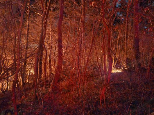 21일 오후 부산 기장군 기장읍 한 공장에서 시작된 화재가 인근 산으로 옮겨붙어 확산하고 있다.
