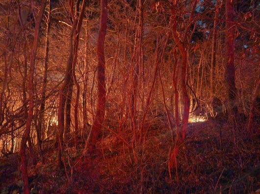 21일 오후 부산 기장군 기장읍 한 공장에서 시작된 화재가 인근 산으로 옮겨붙어 확산하고 있다.