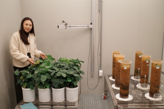 농촌진흥청 관계자가 기후조절실에 대해 설명하고 있다.