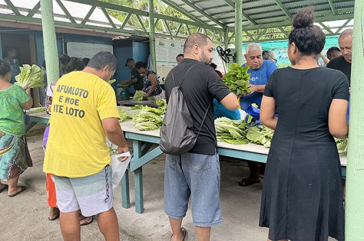 ▲ 푸나푸티의 'Happy friendship garden'(행복한 우정의 정원)에서 주민들이 구매할 채소를 고르고 있다. ⓒ외교부 공동취재단(=투발루)