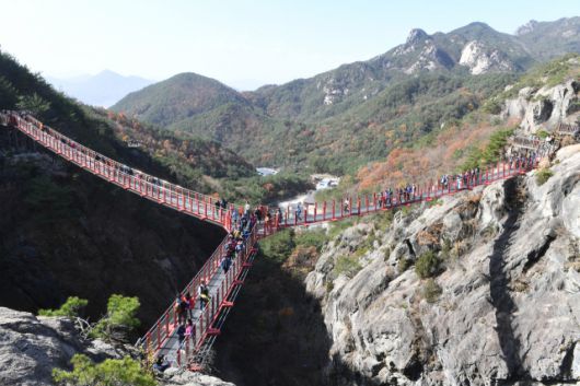 ▲국제교량구조공학회(IABSE)에서 국내 최초 우수 구조물로 선정 거창 항노화힐링랜드 Y자형 출렁다리ⓒ거창군